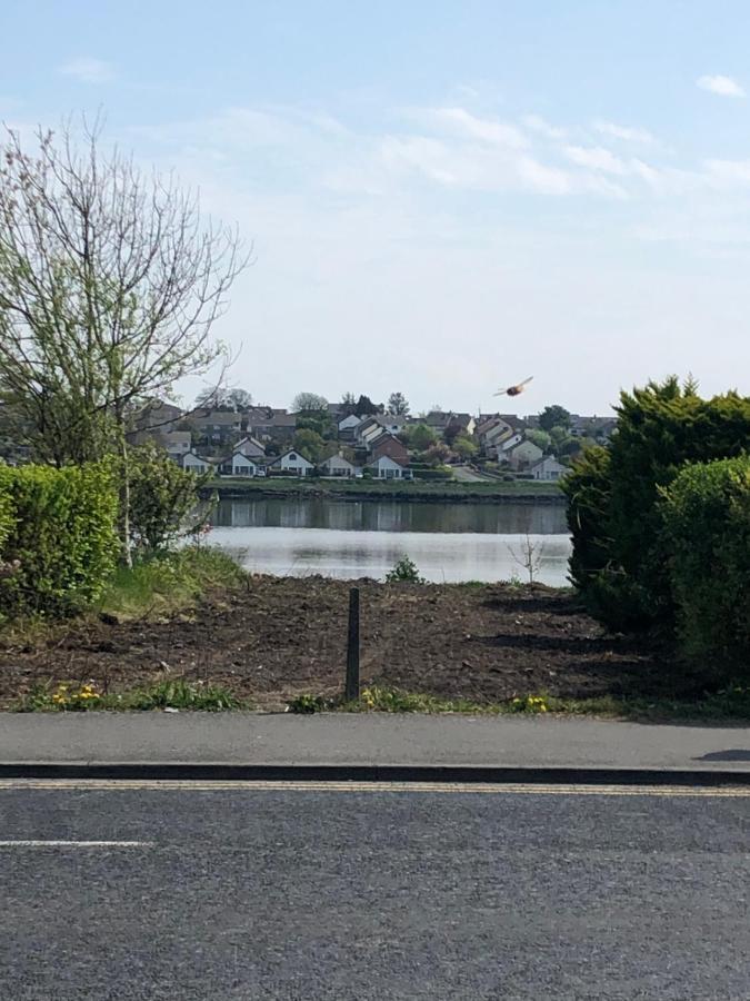 Lake View Galway City Exteriör bild